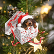 Cute Dachshund Christmas Ornament - Christmas Gift For Family, For Her, Gift For Him, Gift For Pets Lover Shape Ornament.