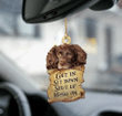 Boykin Spaniel Get In, Sit Down, Shut Up, Hang On Car Hanging Ornament - Christmas Gift For Family, For Her, Gift For Him, Gift For Pets Lover Ornament
