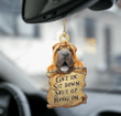 Shar Pei Get In, Sit Down, Shut Up, Hang On Car Hanging Ornament - Christmas Gift For Family, For Her, Gift For Him, Gift For Pets Lover Ornament