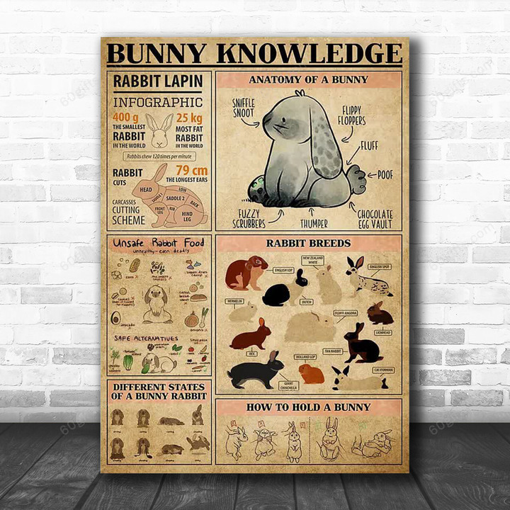Inspirational & Motivational Wall Art Father's Day, Birthday Gift Bunny Knowledge Vintage - Canvas Print Home Decor