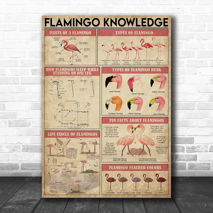 Inspirational & Motivational Wall Art Father's Day, Birthday Gift For Dad Flamingo Knowledge Vintage - Canvas Print Home Decor