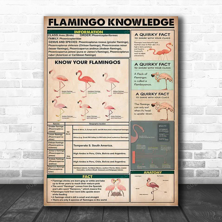 Inspirational & Motivational Wall Art Father's Day, Birthday Gift For Dad Flamingo Knowledge Vintage - Canvas Print Home Decor