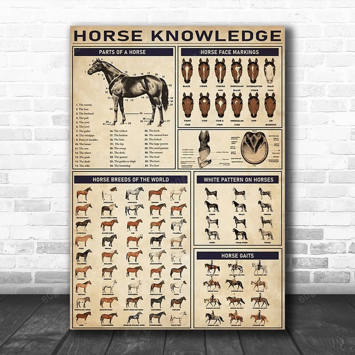 Inspirational & Motivational Wall Art Father's Day, Birthday Gift For Dad Horse Knowledge Vintage - Canvas Print Home Decor