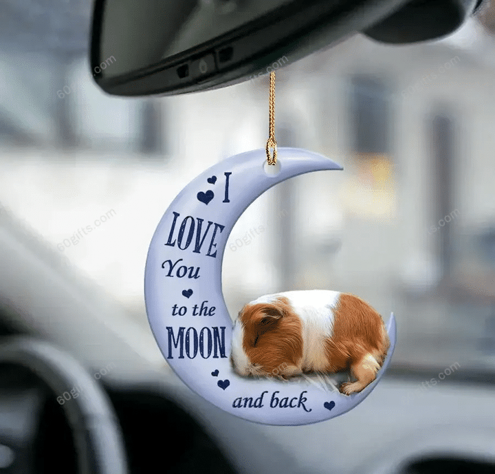 Personalized Name Ornament Guinea Pig I Love You To The Moon & Back - Christmas Gift For Family, For Her, Gift For Him, Gift For Pets Lover Two Sided Ornament