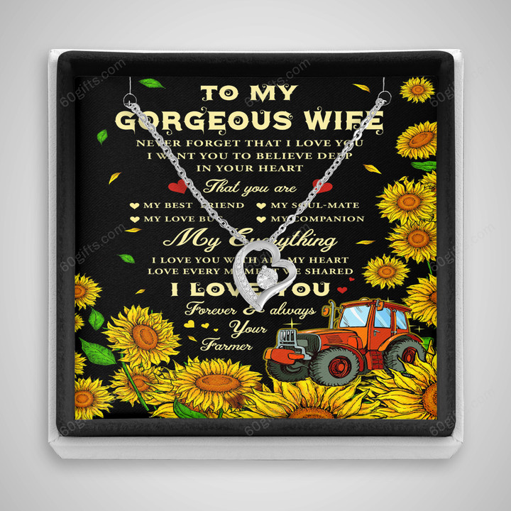 Valentine's Day Gifts 2023, Anniversary Gifts, Birthday Gifts Heart Necklace With Meaning Message Card, Gift Ideas To My Gorgeous Farmer Wife