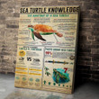 Sea Turtle Knowledge Poster Canvas Home Décor Gifts For Men Women