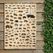 Backyard Bees Of North America Poster Canvas Home Décor Gifts For Men Women