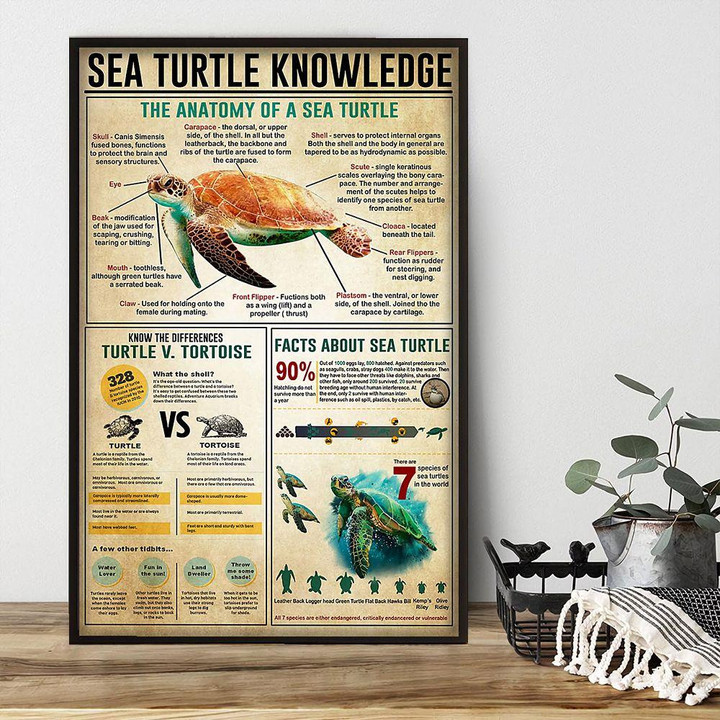 Sea Turtle Knowledge Poster Canvas Home Décor Gifts For Men Women