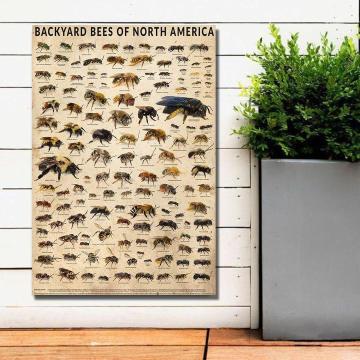 Backyard Bees Of North America Poster Canvas Home Décor Gifts For Men Women