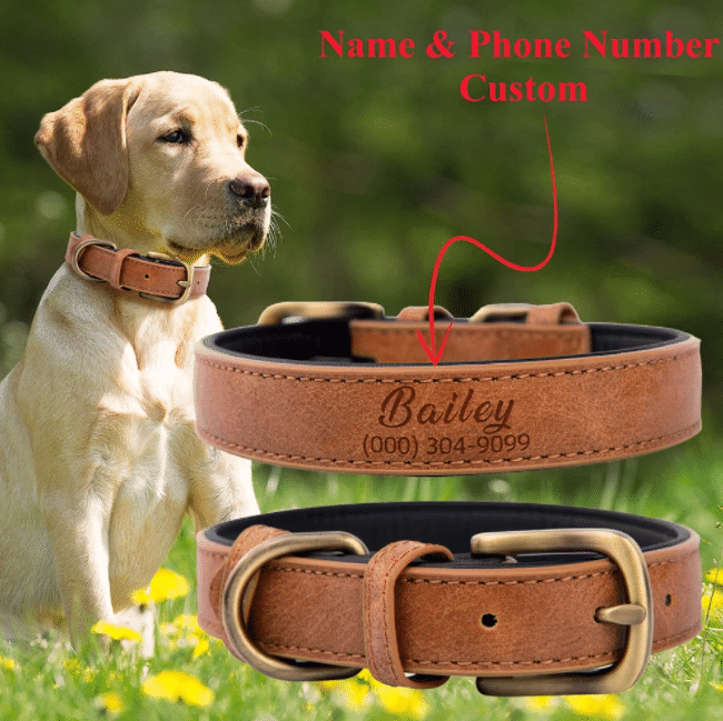 Personalized Name and Phone Number Dog Leather Pet Collar