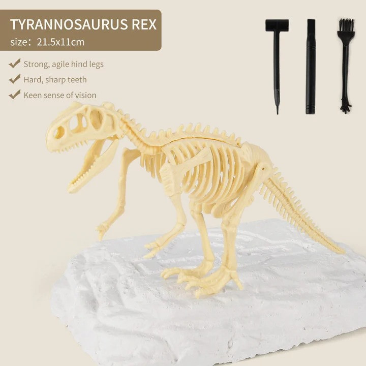 🔥HOT DEAL - 50% OFF🔥 Dinosaur Fossil Digging Kit