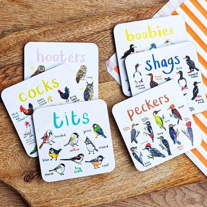 🔥Last Day Promotion- SAVE 50% OFF🎁 Set of 6 Bird Pun Coasters