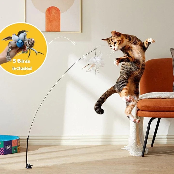 🔥BIG SALE - 50% OFF🔥 Interactive Bird Simulation Cat Toy Set