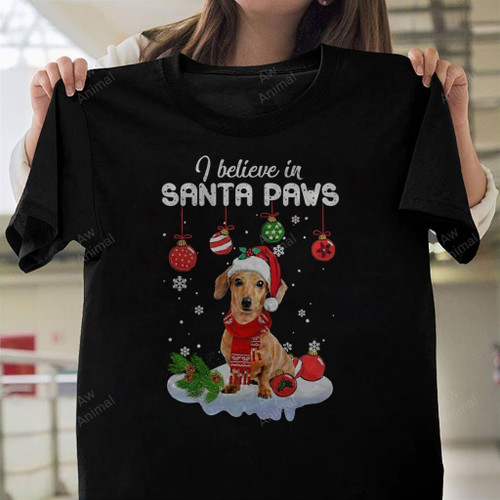 I Believe In Santa Paws Dunny Dachshund Christmas