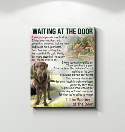 Chocolate Labrador Canvas Waiting At The Door