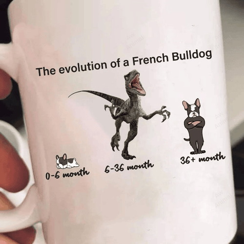 Funny The Evolution Of French Bulldog Mug