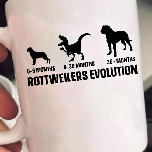 Rottweilers Evolution Mug