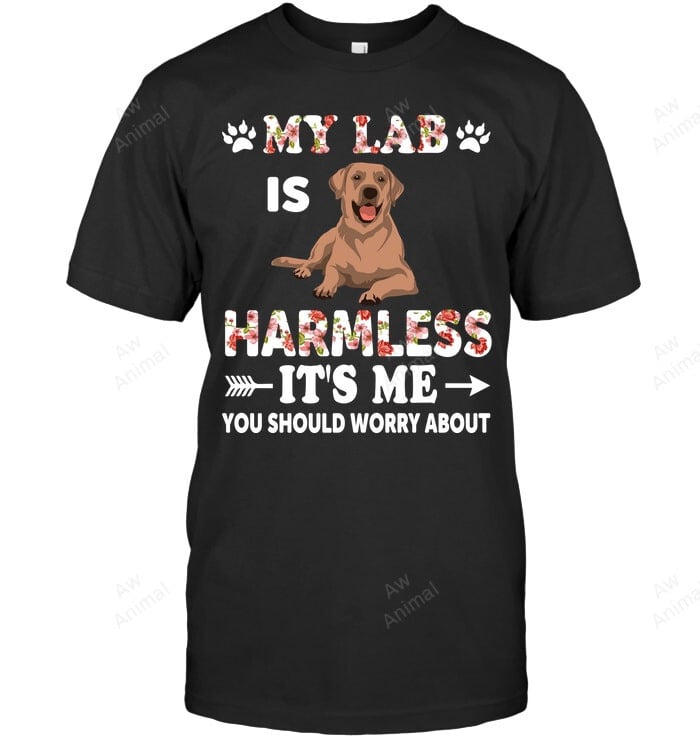 My Lab Is Harmless It's Me You Should Worry About Labrador Sweatshirt Hoodie Long Sleeve Men Women T-Shirt