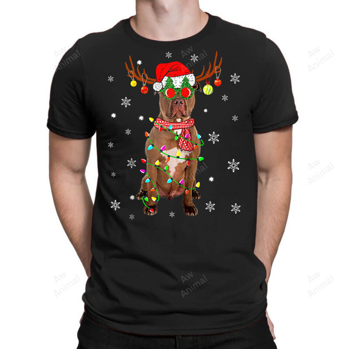 Funny Reindeer Pitbull Dog Santa Hat Christmas Raglan