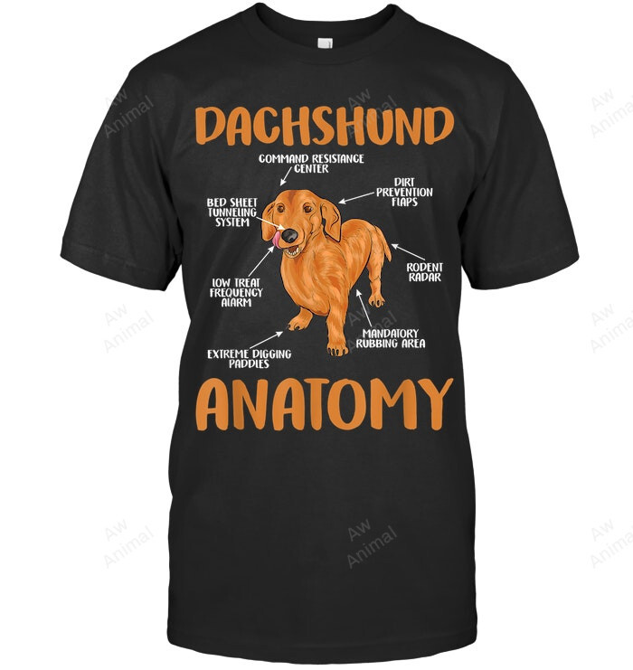 Cute Funny Dachshund Anatomy