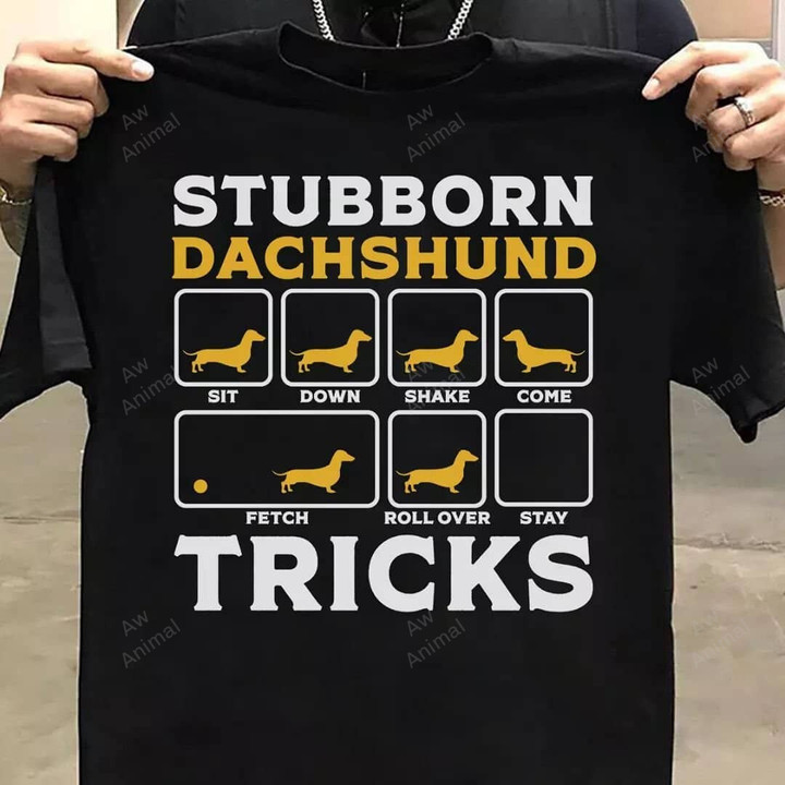 Funny Stubborn Dachshund Tricks 1