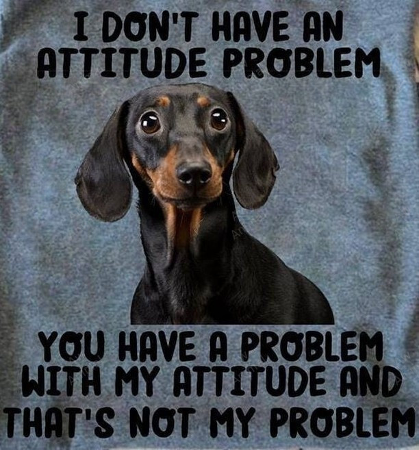 I Don't Have An Attitude Problem Dachshund