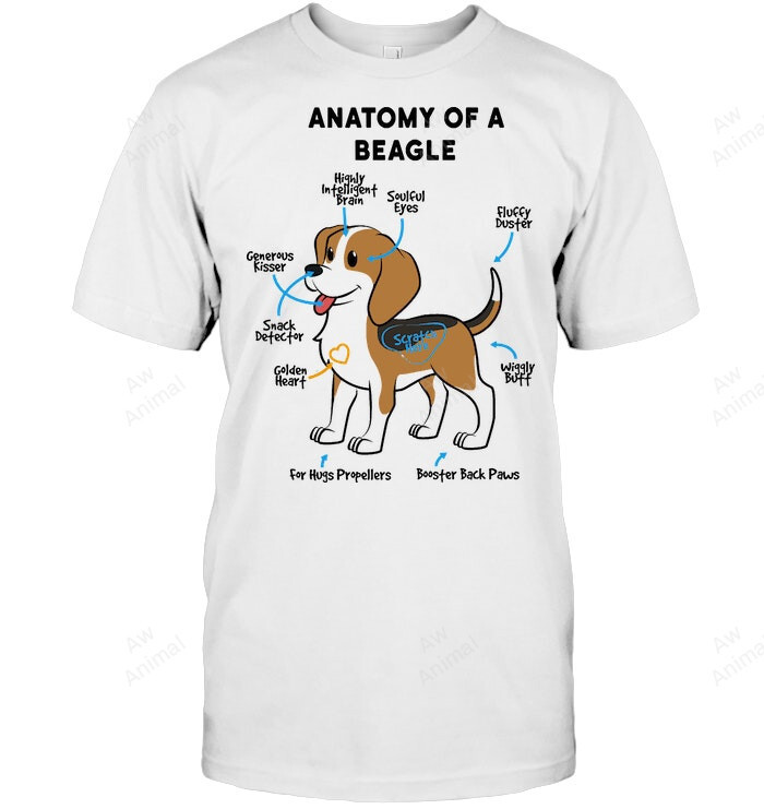 Anatomy Of Beagle