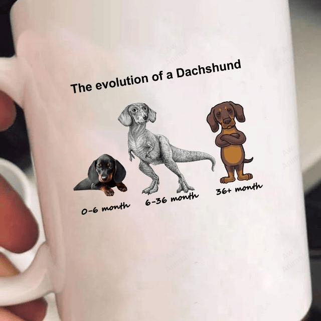Funny The Evolution Of Dachshund Mug