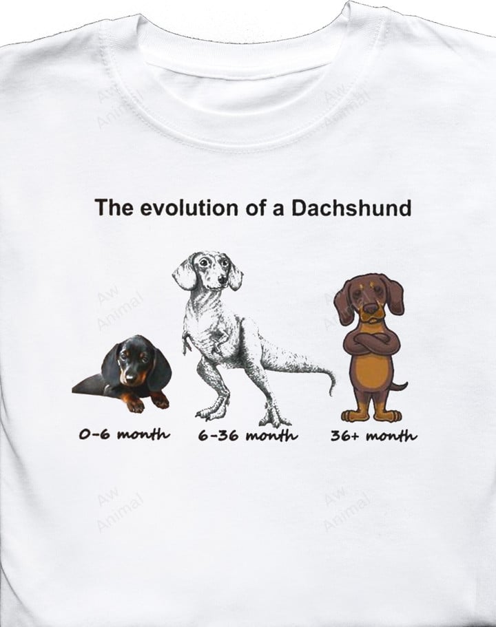 Funny The Evolution Of A Dachshund