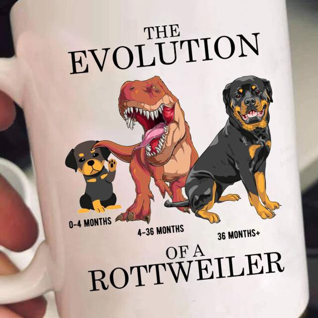 The Evolution Of Rottweiler Mug
