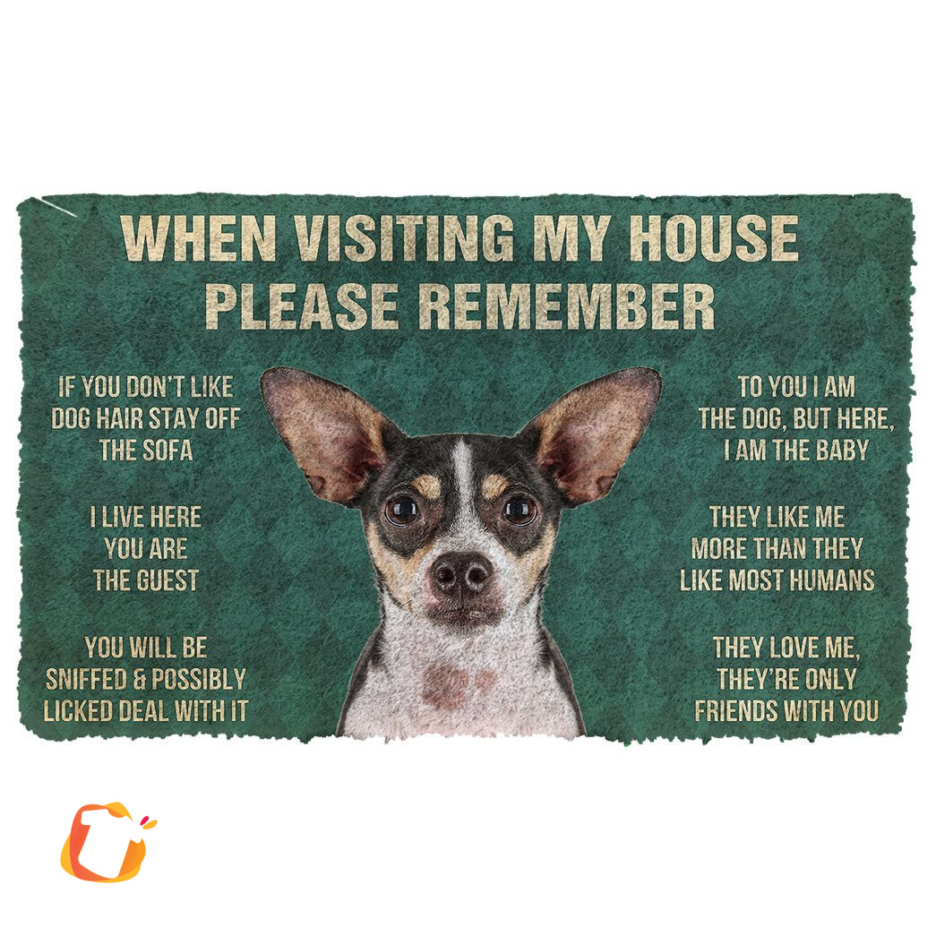 Noodever 3D Please Remember Rat Terrier Dogs House Rules Doormat