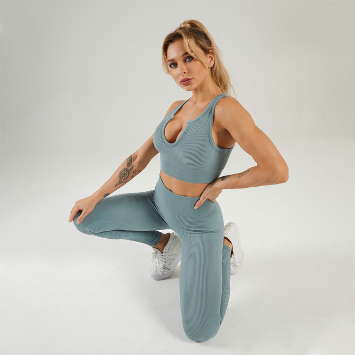 Shark Knitted Seamless Sports Yoga Fashion Fitness Trousers Suit For Women Bottoms