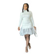 Women's Thread Dress Long Sleeve Tight Turtleneck Grenadine Woolen Skirt Skinny Dresses