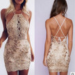 Embroidered Lace Hollow-out Stitching Sexy Backless Sheath Dress For Women