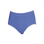 Underwear Nylon Brief Panties 12PCS