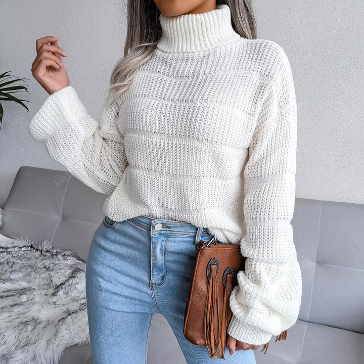Turtleneck Long Sleeve Knit Pullover Sweater