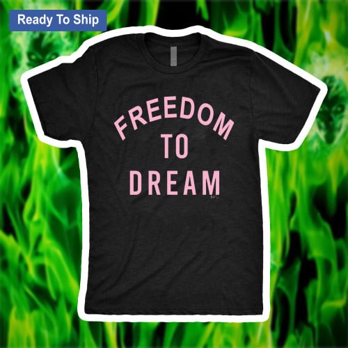 Freedom To Dream