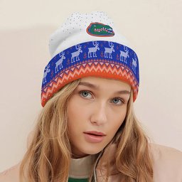 Florida Gators Light Up Season Beanie Hat