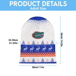 Florida Gators Light Up Season Beanie Hat