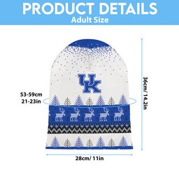 Kentucky Wildcats Light Up Season Beanie Hat
