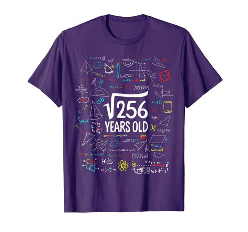Square Root of 256 16th Birthday 16 Years Old Math Bday Gift T-Shirt