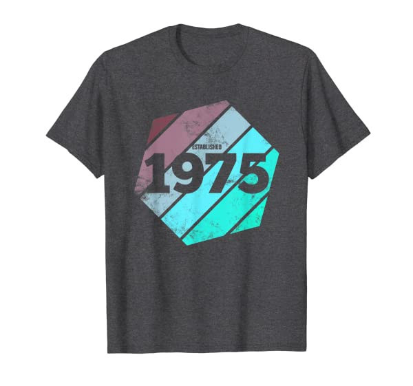 Established 1975 Vintage 46th Birthday Gift Retro Est 1975 T-Shirt