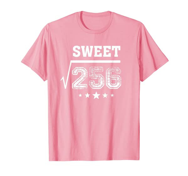 Square Root 256 Sweet 16 Year Old 16th Birthday Pink T-Shirt