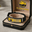 HC VERVA Litvínov Czech Extraliga Personalized Bracelet
