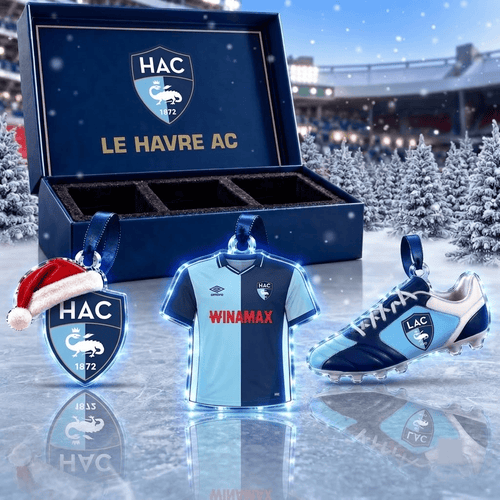 Le Havre AC Ligue 1 Team Full Set 3 Acrylic Ornament