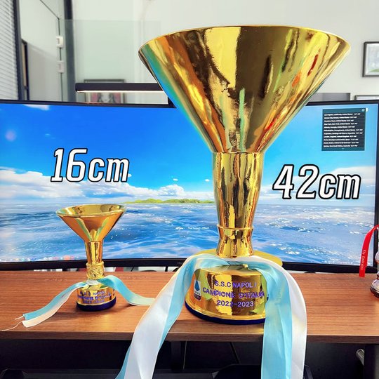 Common Version NAPOLI Italian Serie A The Scudetto Trophy |Campioni d’Italia 2024/2025