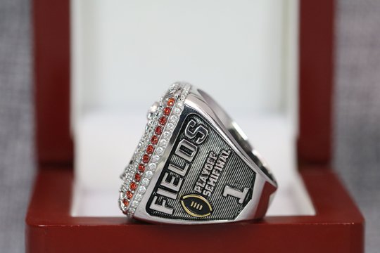 2019 Ohio State Buckeyes Big 10 Championship Ring Premium Series