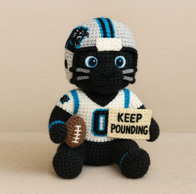Handmade Carolina Panthers Crochet | with Glasses & Chains | Gift for fans