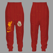 Liverpool F.C Premium Hoodie V4