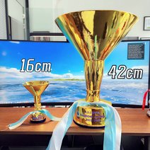 Common Version NAPOLI Italian Serie A The Scudetto Trophy |Campioni d’Italia 2024/2025
